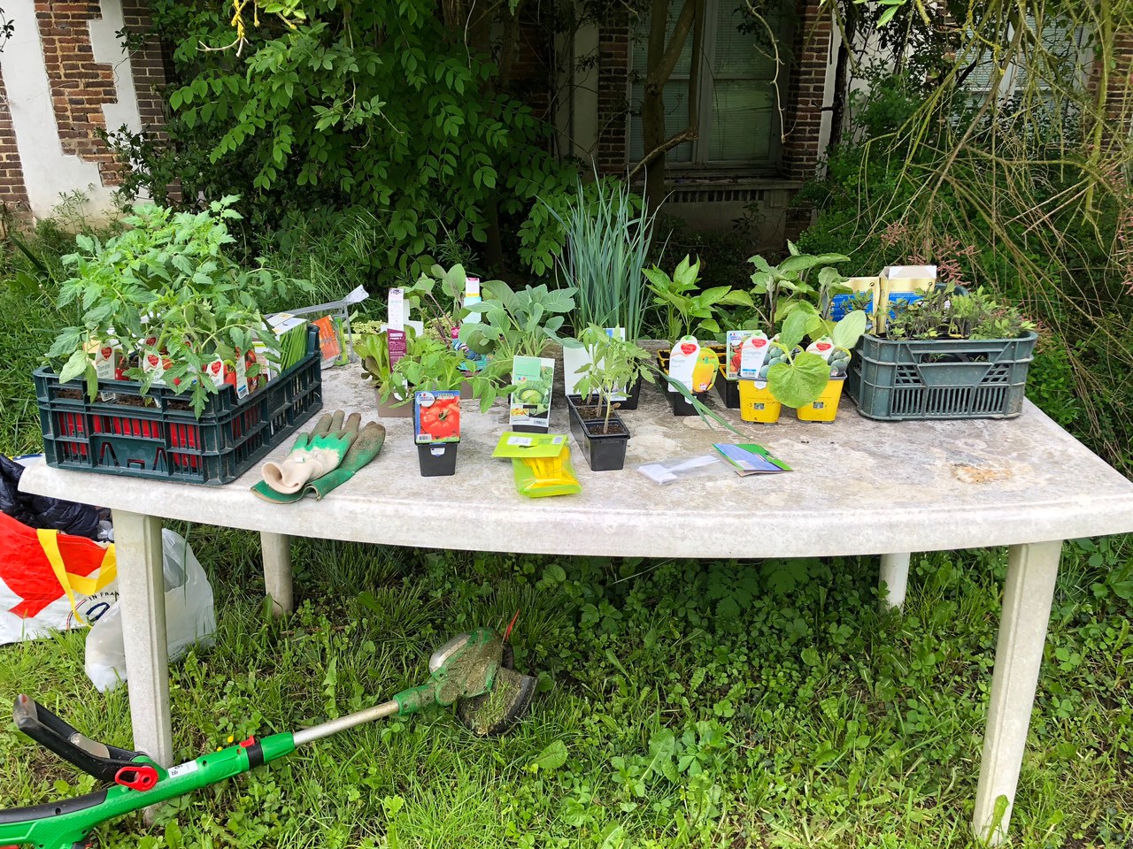 Atelier jardin spécial plantations