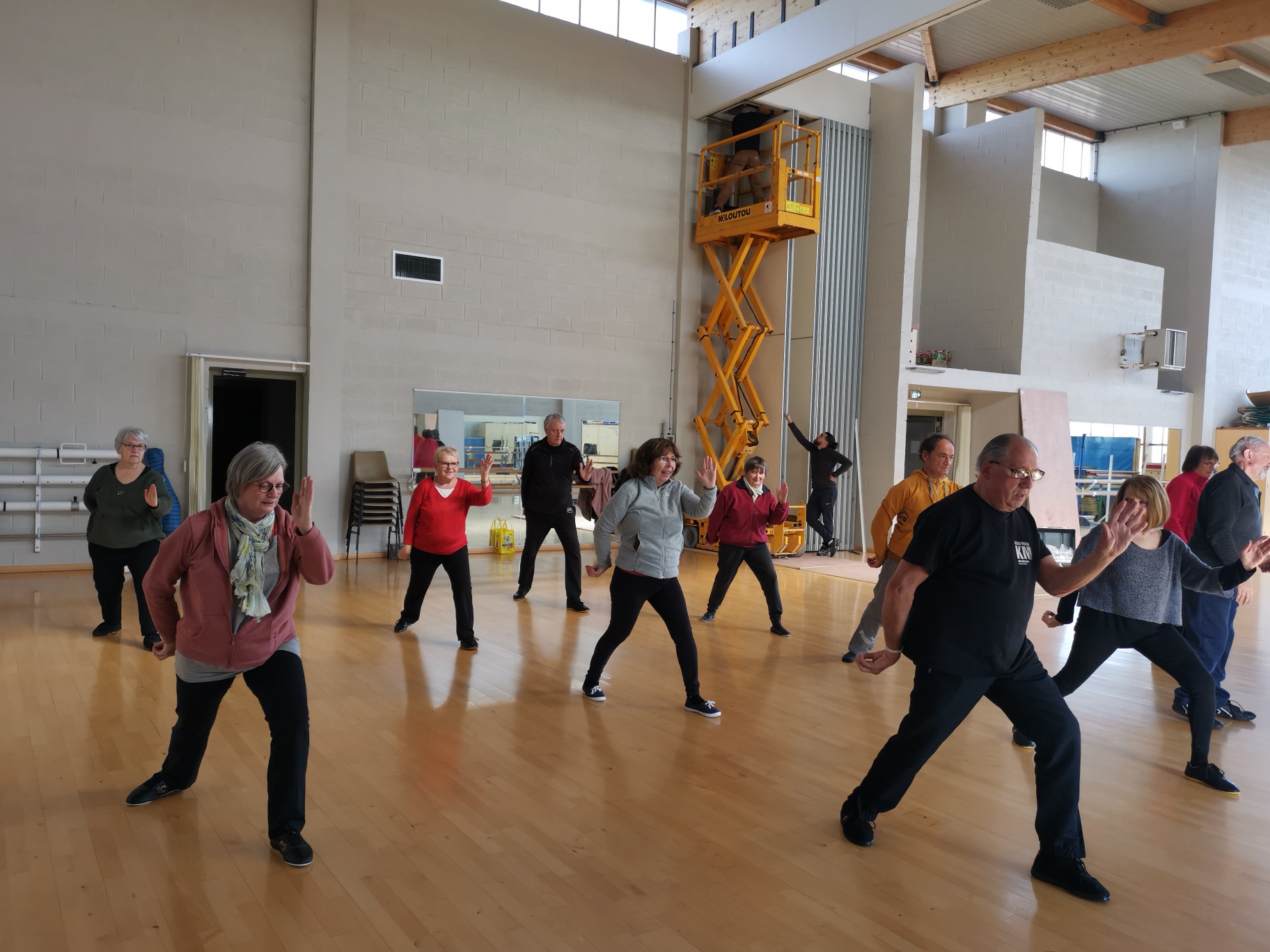 Tai chi chuan / Rugles
